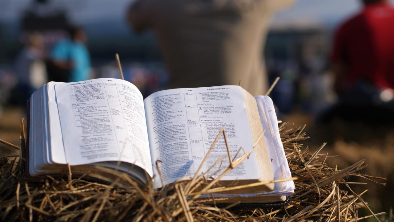 Ensinamentos das parábolas de Jesus - Logos Vos