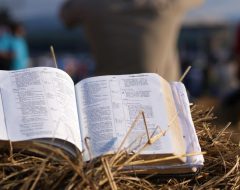 Ensinamentos das parábolas de Jesus - Logos Vos