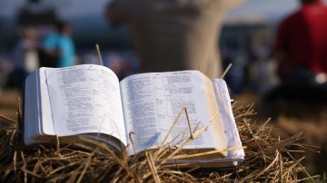 Ensinamentos das parábolas de Jesus - Logos Vos